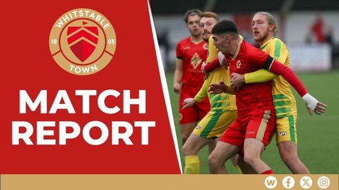 Vase Dream Still Alive For The Oysters