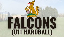 Falcons (U11)