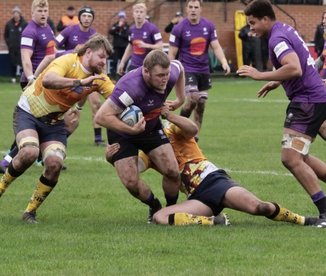 Brave Lions frustrated by the Tigers