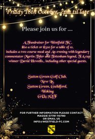 'Light up the field' fundraiser