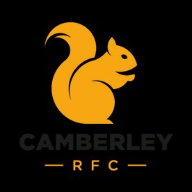 Camberley Women XV v Dorking Women II XV