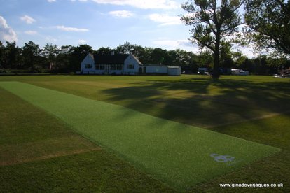 ClubTurf International Pitch Investment