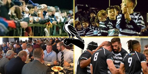 Message from the Chairman