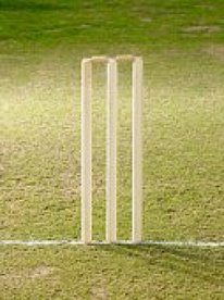 Let your cricket do the talking