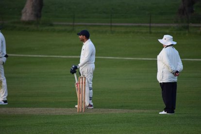 Weekend Roundup - Week 15