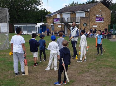 Lets Play Cricket!
