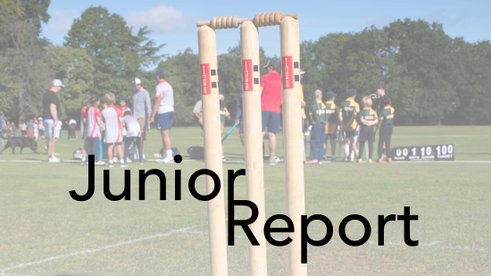 Junior Repot: Week 16
