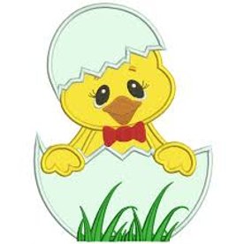 No Rugby This Weekend