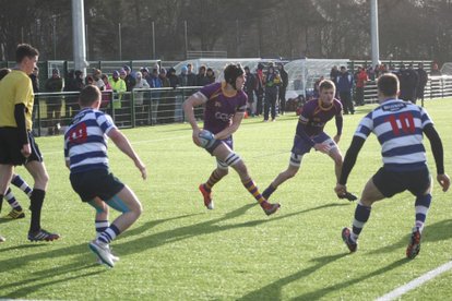 Marr Rugby round-up: All systems are Purple and Gold as new season approaches