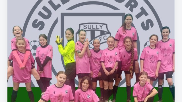 Sully Pinks - U13s