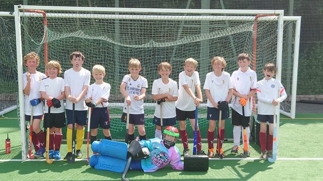 Stone Falcons (Badgers)