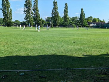 Chairman's Report 2 June