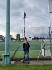 The Owl Bowls The Bridge To Victory