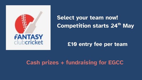 Fantasy Club Cricket