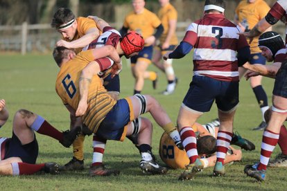 Teddington too good for Kingston