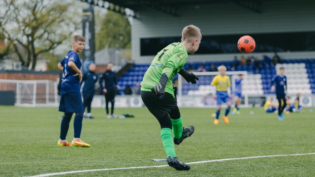 Under 16 Pythons