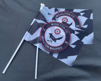 First team in Friendly action this weekend