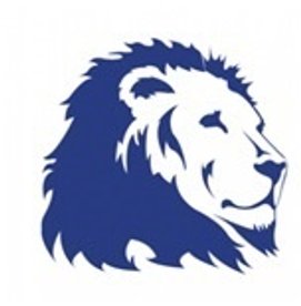 SECOND LEAGUE DEFEAT OF THE NEW YEAR FOR THE LIONS