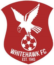 Stourbridge 3 Whitehawk 0