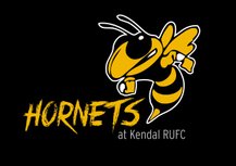 U11 Hornets