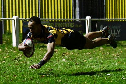 Tigers stung by Hornets