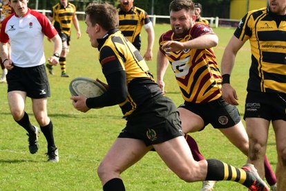 Hinckley 37		Sheffield Tigers 34