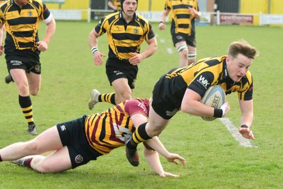 Hornets snatch victory at the death