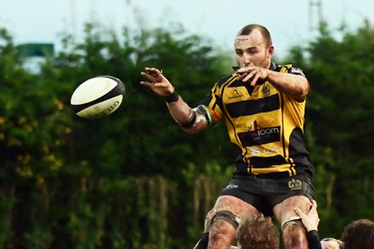 Hornets leap above Hoppers