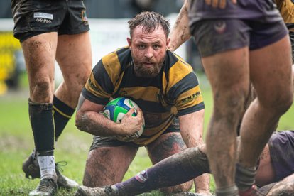 Forwards dominate to deliver bonus point win