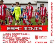 Easington Minis