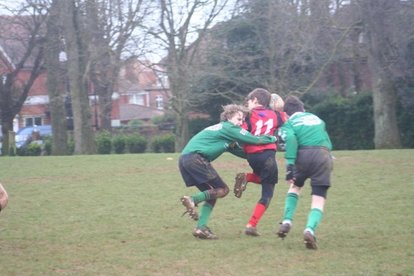 A fine showing at the H Cup