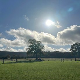 Match Report – Saturday 8th November