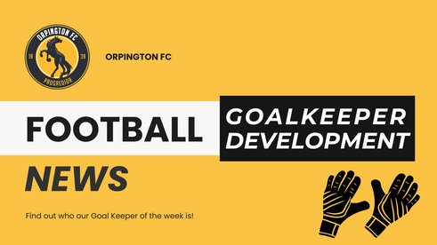 Exciting News -  Goalkeeper Development Programme