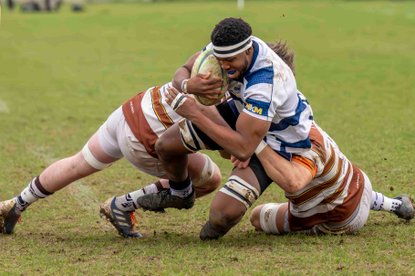 Chelmsford 1st XV Men 25 -  Southend RFC 35