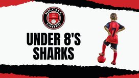 Under 8 Sharks