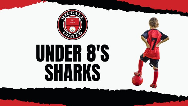 Under 8 Sharks
