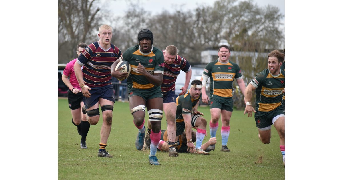 Barnes Rugby Football Club