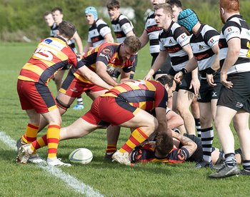 Darragh Fails To Dent Farnham’s Unbeaten Run
By Mike Salmon