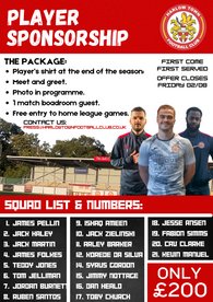 Player Sponsorship Offer