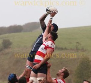 Brighton vs Dorking | Match Report