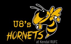 U8 Hornets