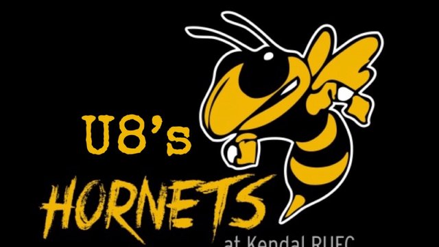 U8 Hornets