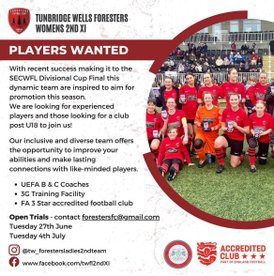 Ladies 2nd XI - promotion confirmed - Players Wanted