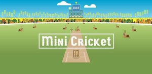 Mini Cricket
