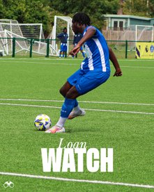 LOAN WATCH: Opening Weekends For Our Loanees