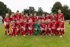 2014 Dynamos & Colts