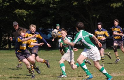 Eastbourne RFC Under 13s in Worthing 7s Success