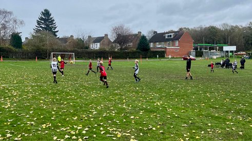 Tigers Keep Battling