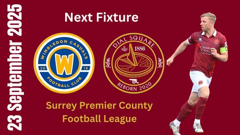 BROWN EXPECTS DIAL TO EXCEL AT XCEL