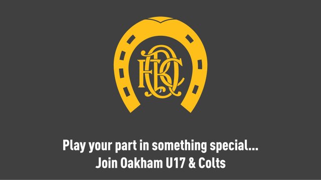 U17 / Colts